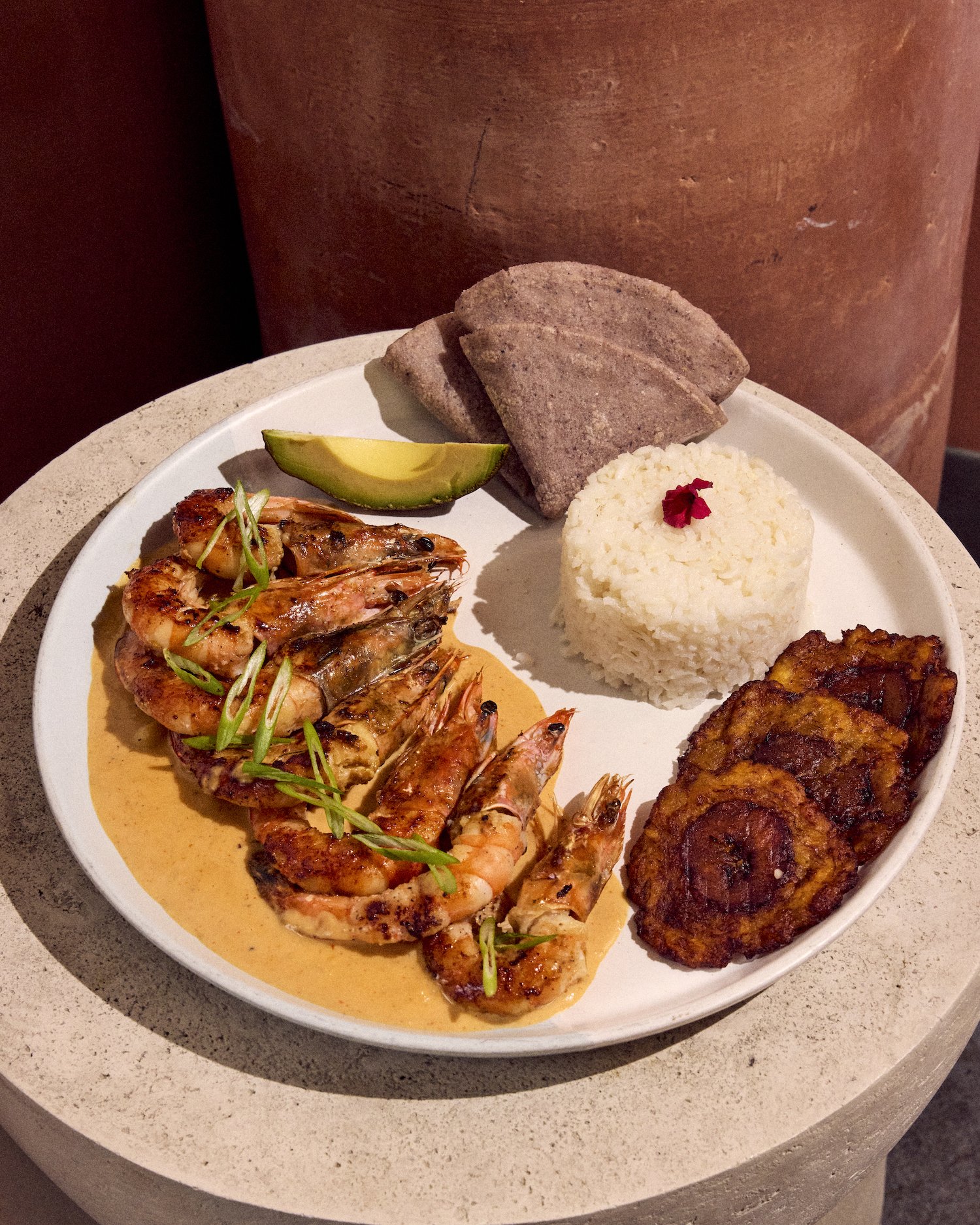 VeracruzFonda.NewMenu.MSK 16.jpg