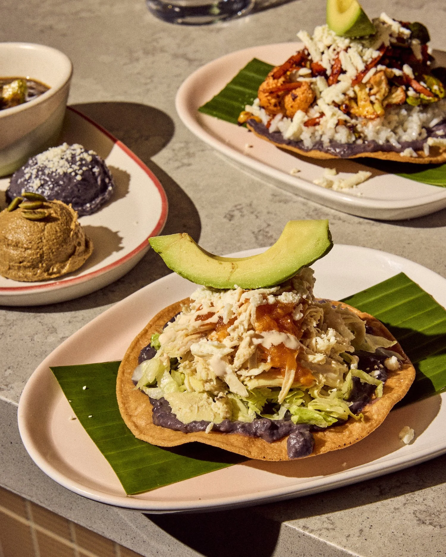 VeracruzFonda.NewMenu.MSK 11.jpg