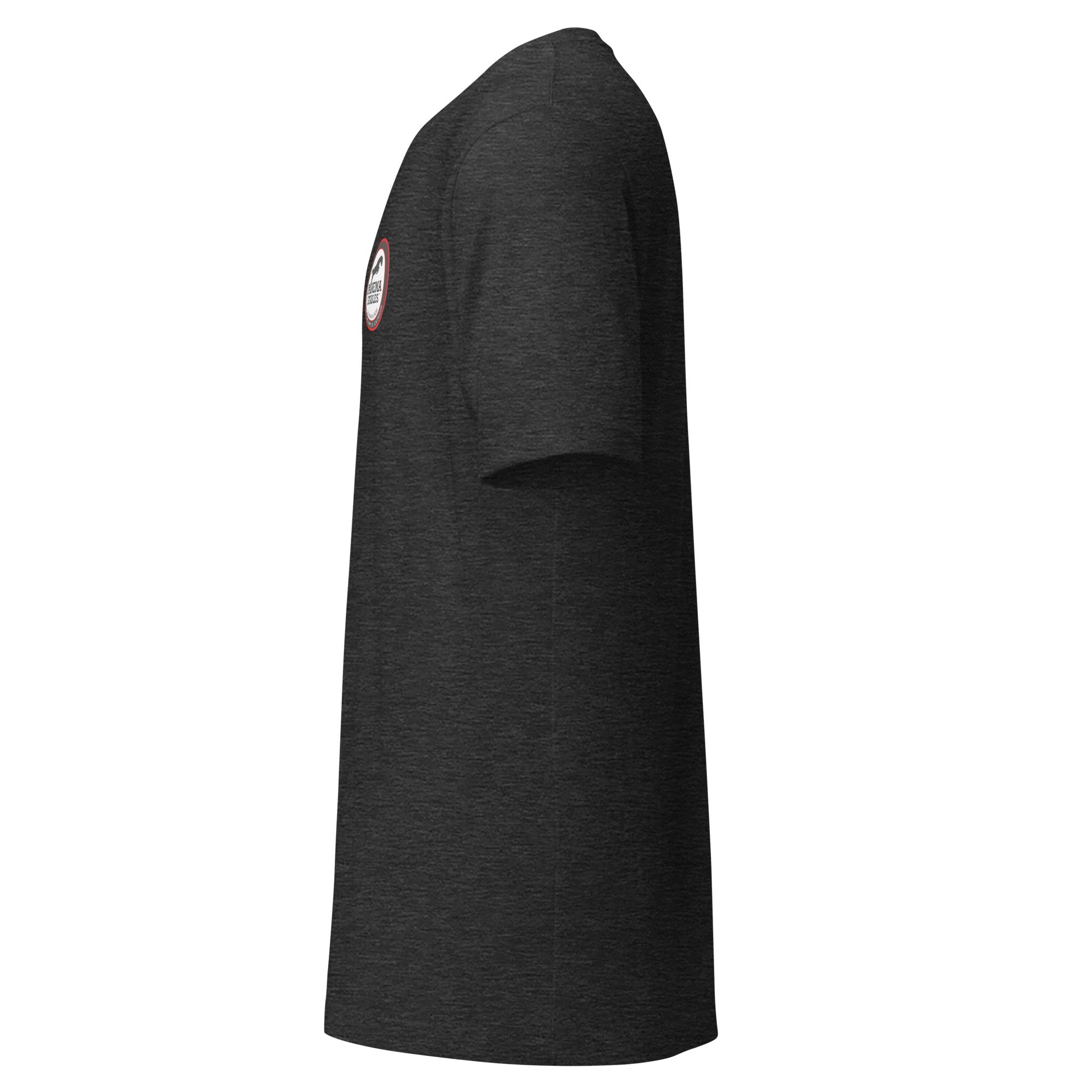 unisex-staple-t-shirt-dark-grey-heather-left-681fec8a09fd2.jpg