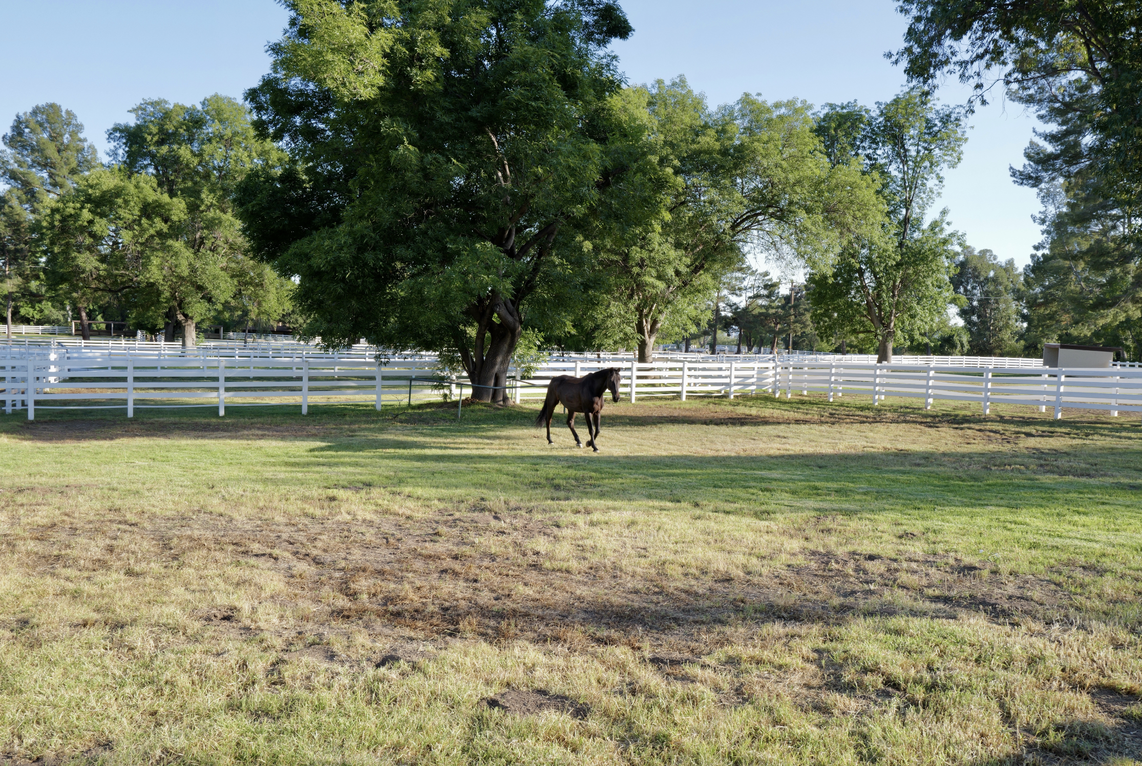 Screenshot 2025-08-19 at 11.02.43 AM.png