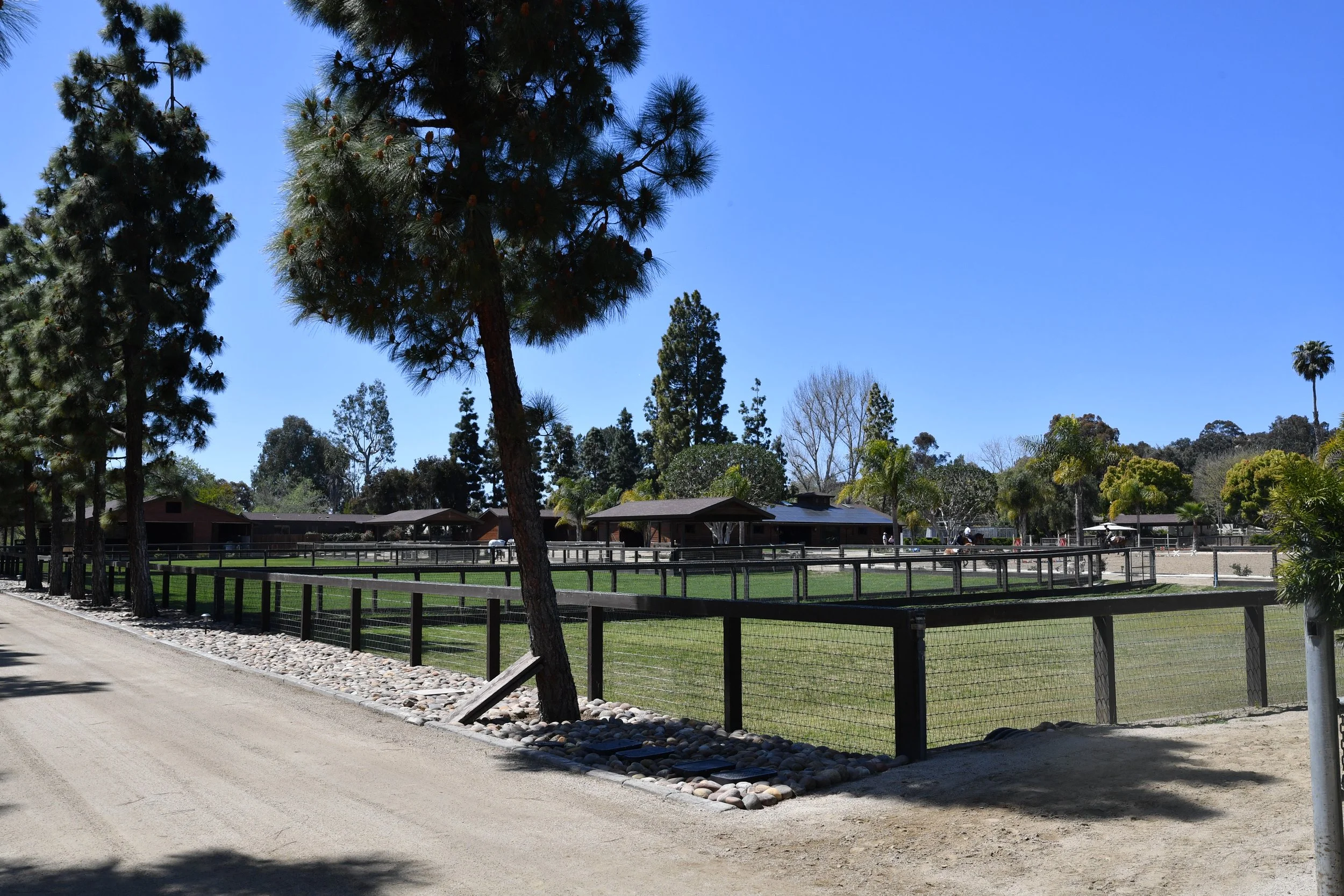 E01_4214.jpg