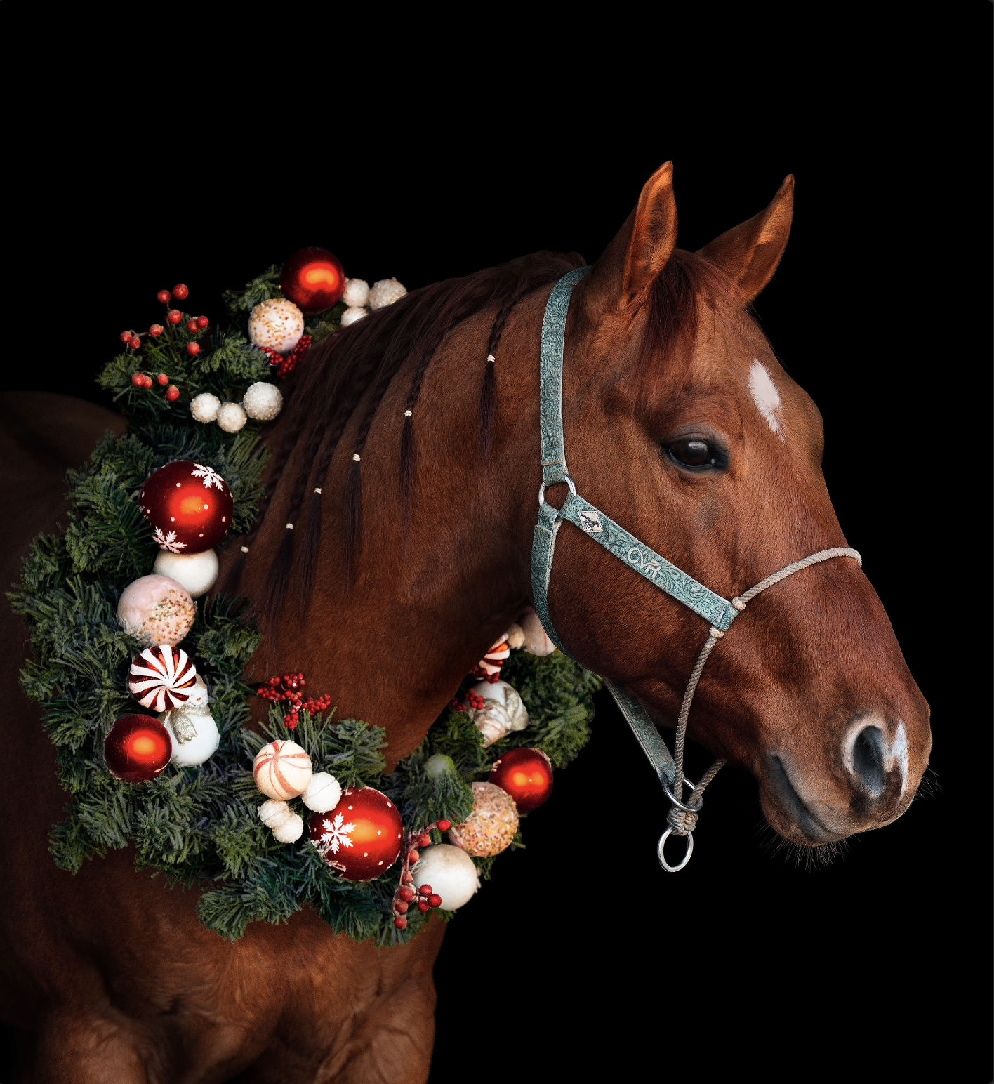 Screenshot 2026-02-06 at 10.10.20 PM.png