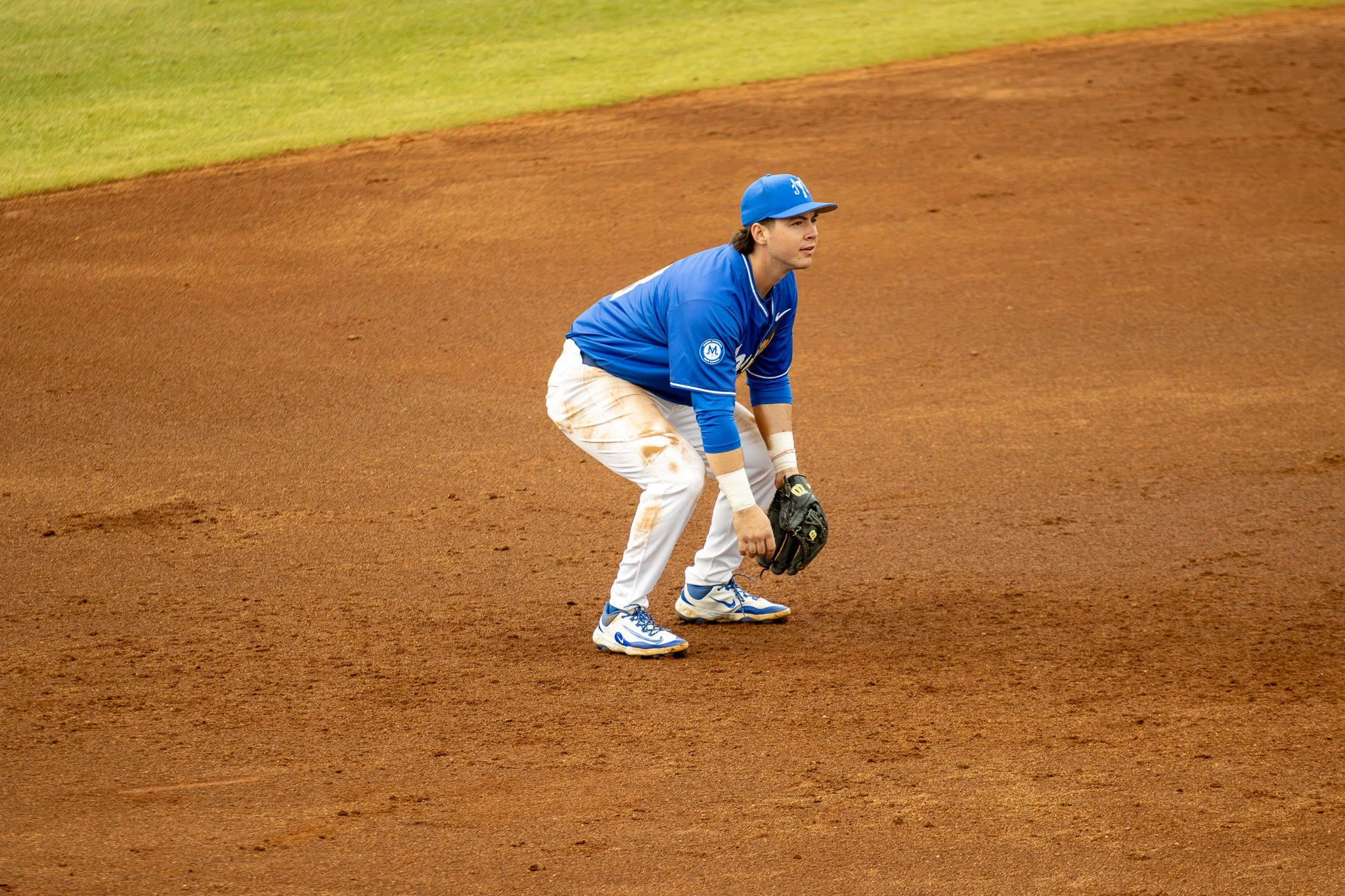 MTSU 2026 Men's Baseball