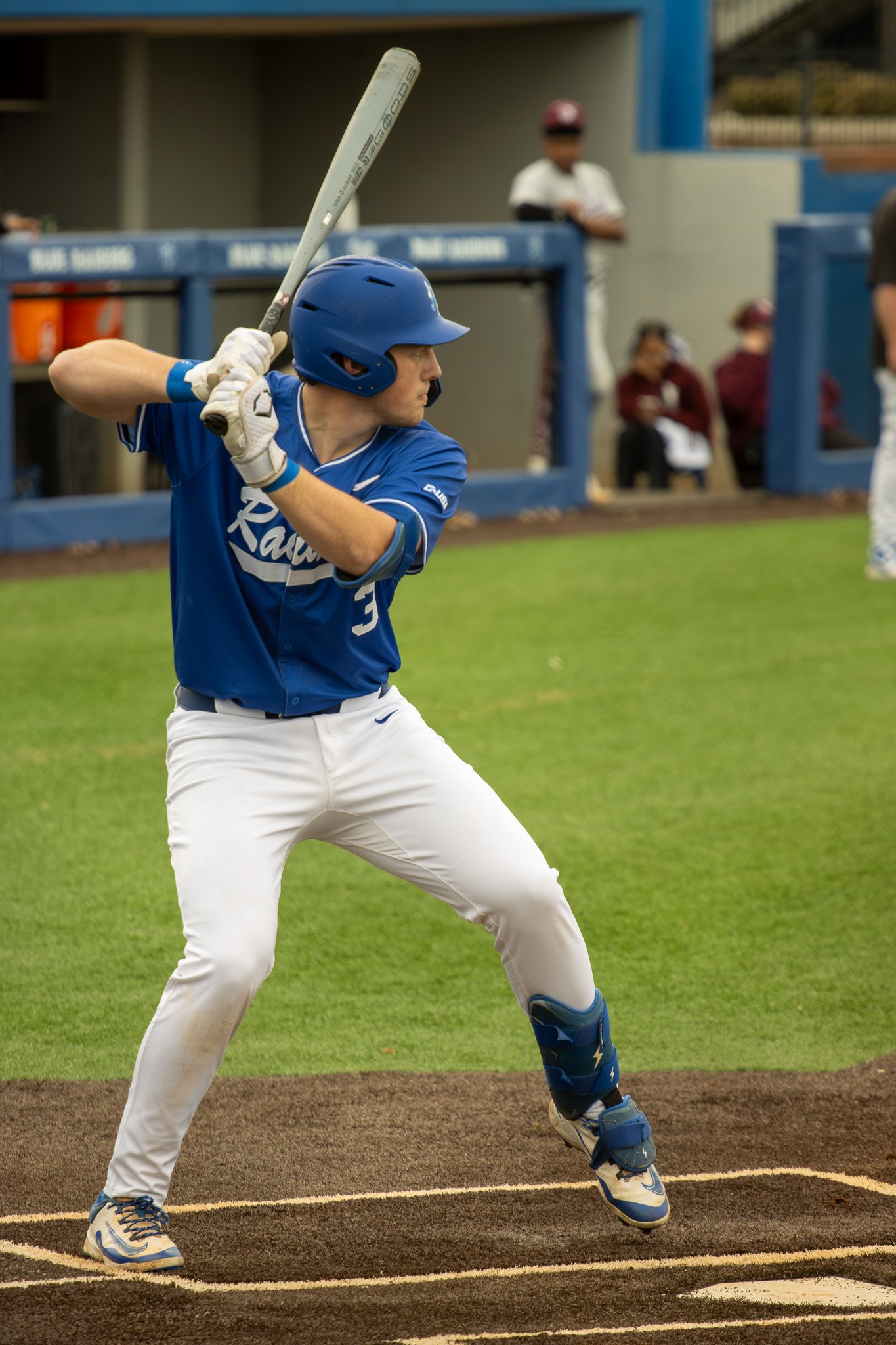 MTSU 2026 Men's Baseball