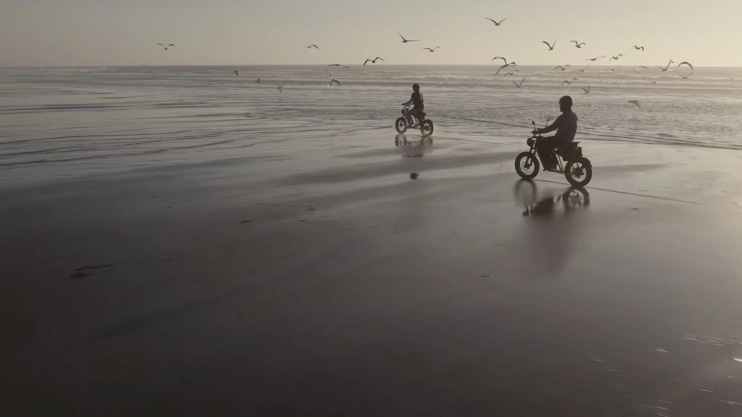 REEL_004.jpg
