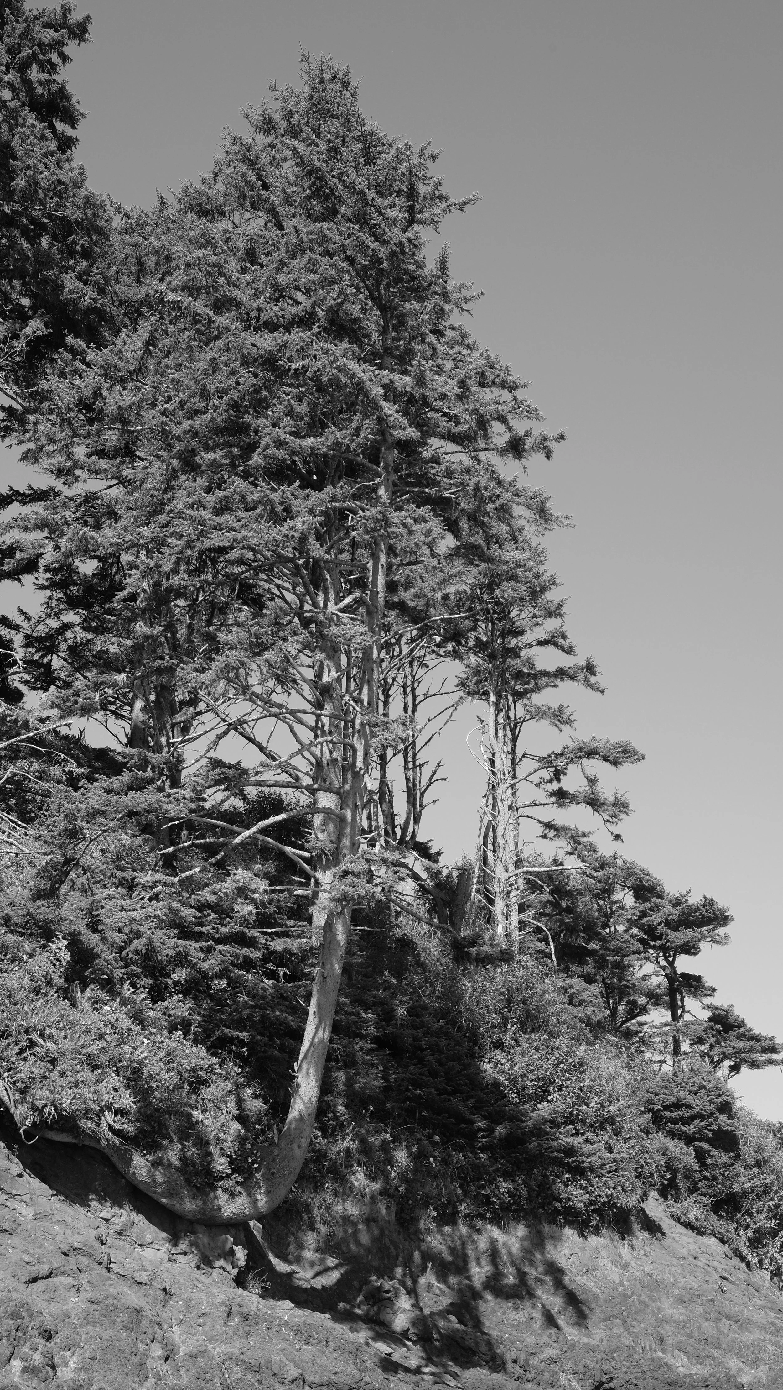 DSCF1340.JPG