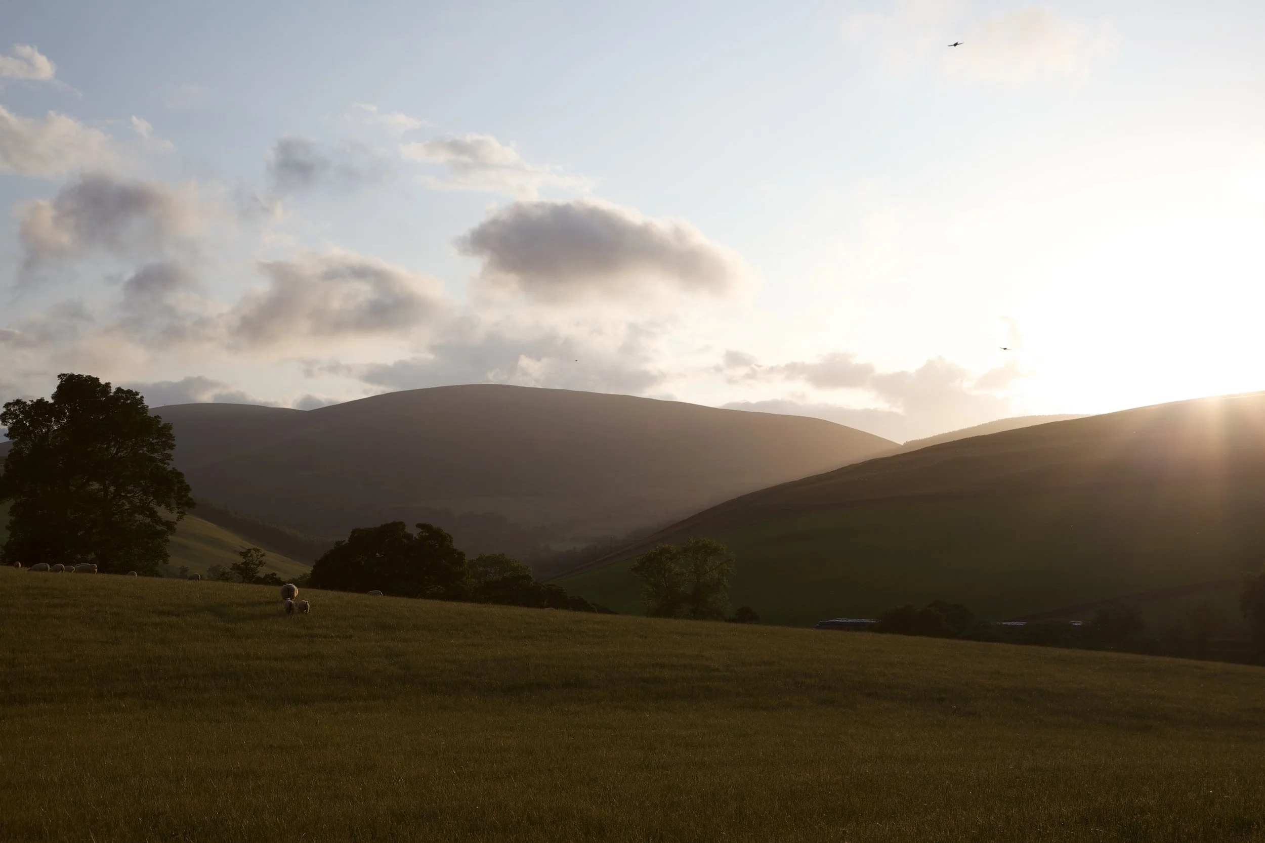 scotland2009 (134).jpg