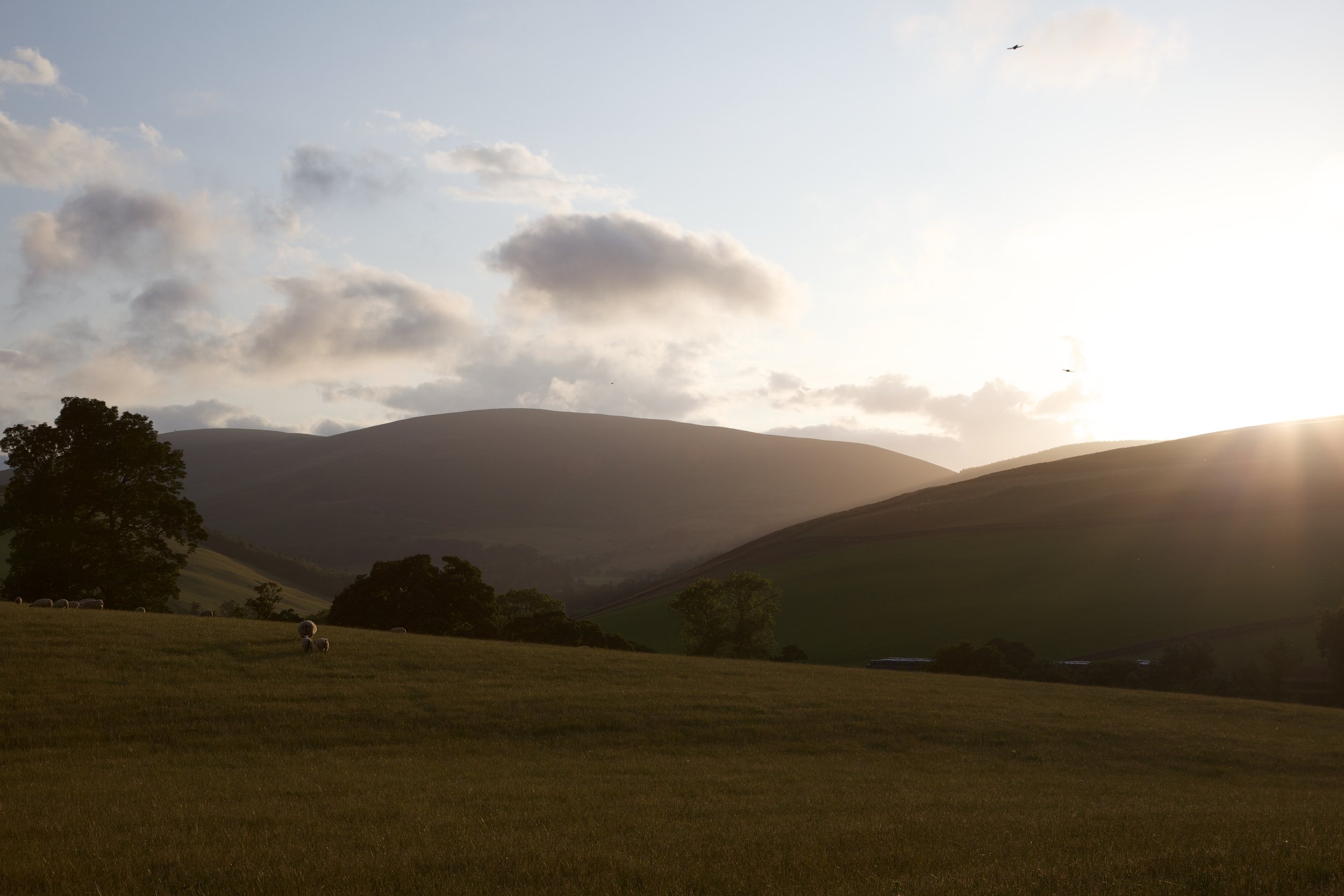 scotland2009 (134).jpg