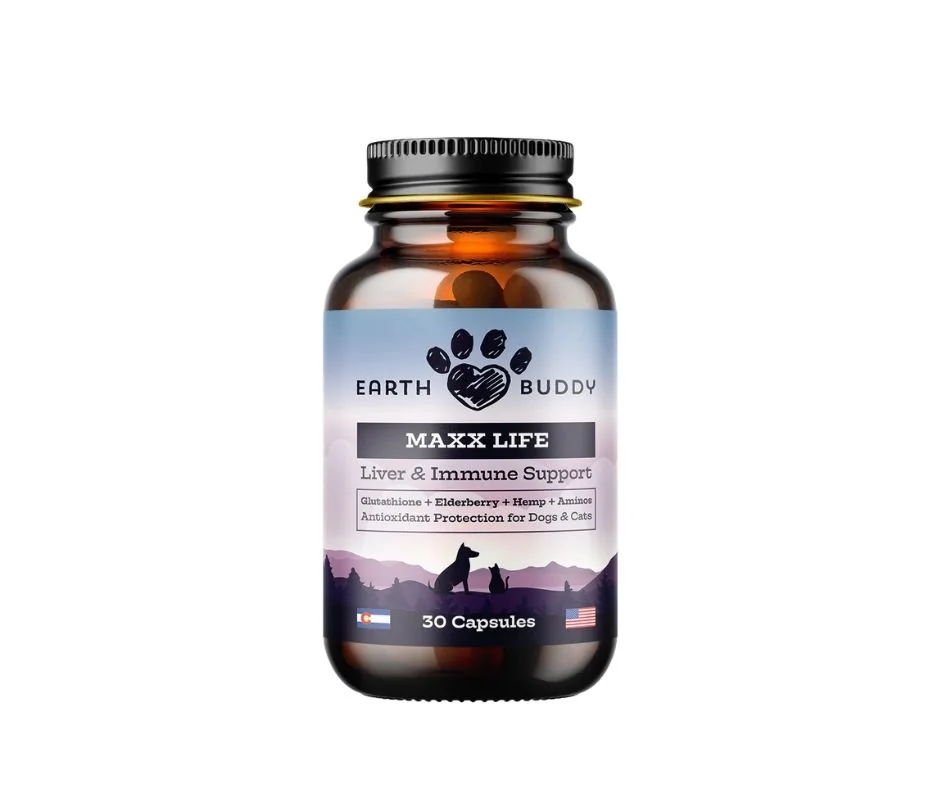 Untitled design (3).jpg