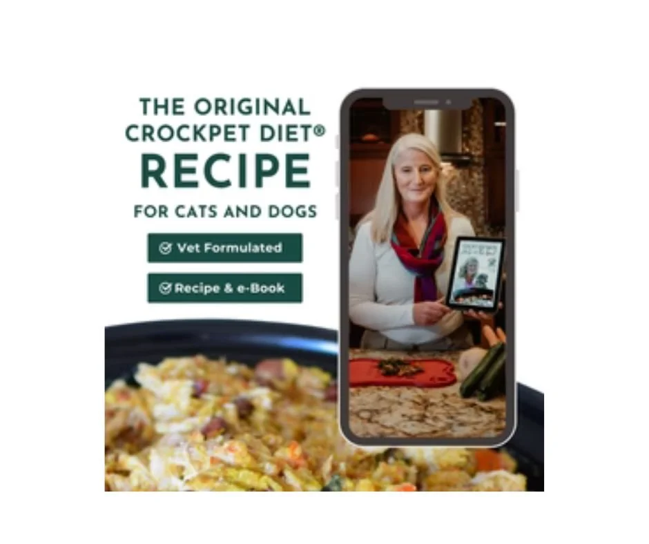 Untitled design (6).jpg