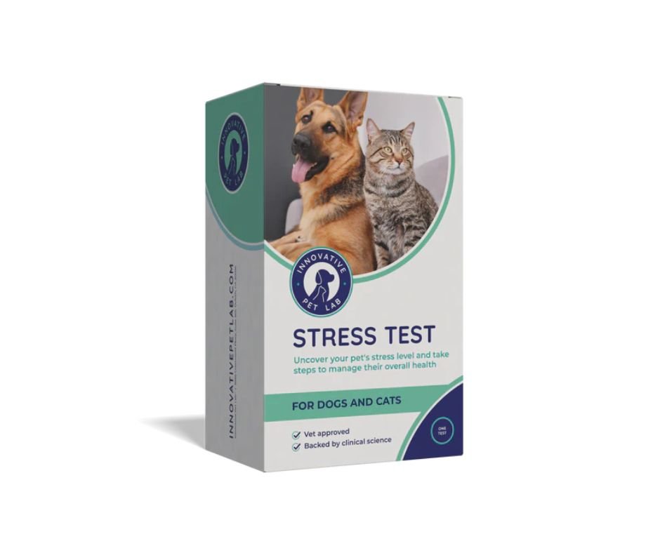 Untitled design (10).jpg