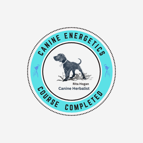 Canine Energetics Course Completed.png