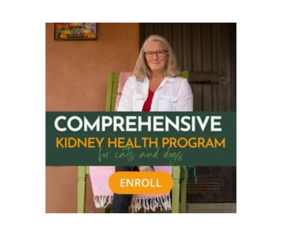 Untitled design (4).jpg