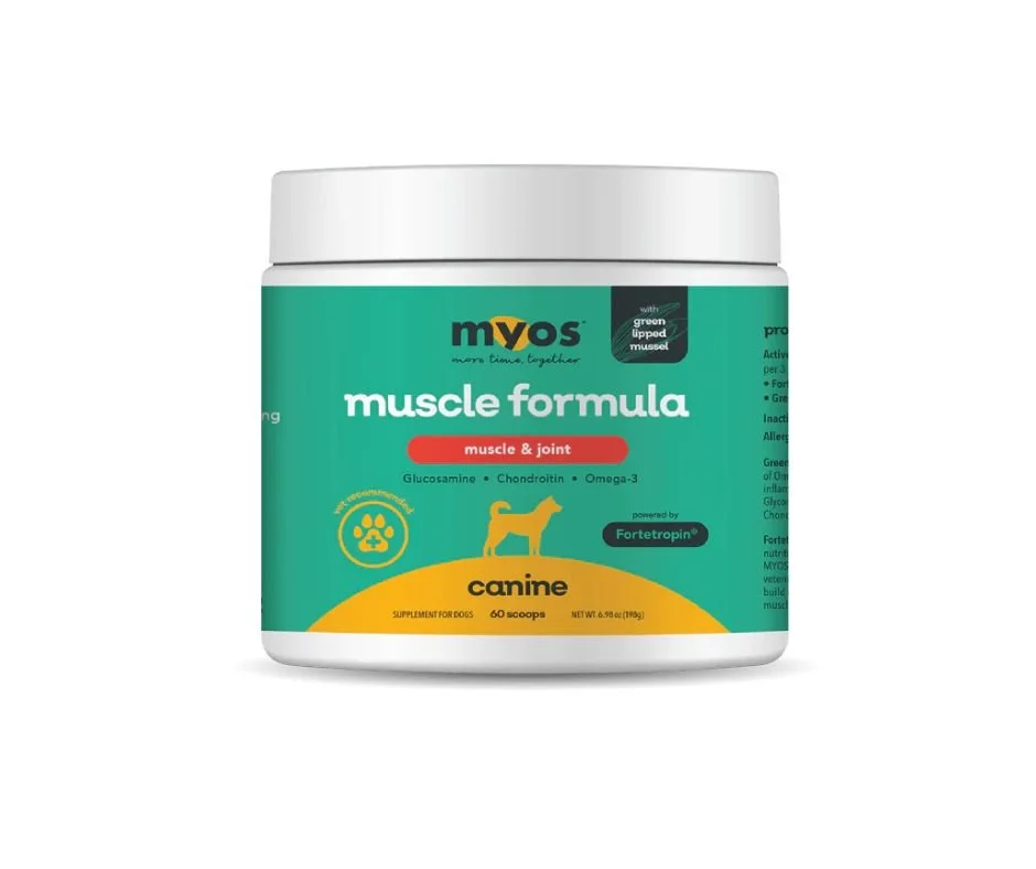 Untitled design (19).jpg