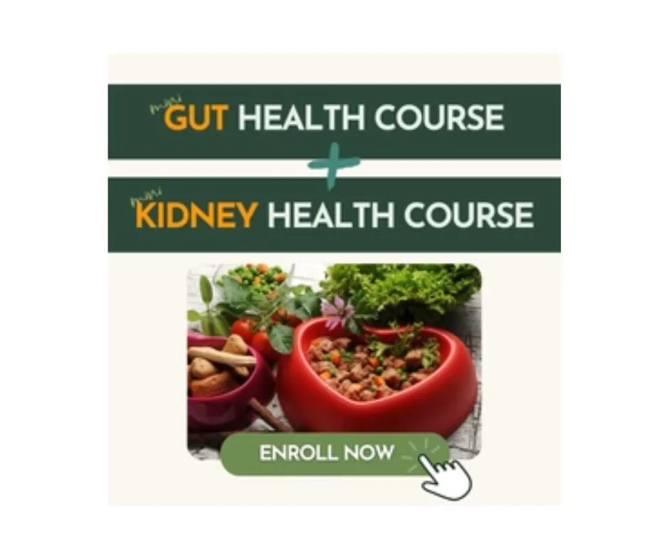 Untitled design (2).jpg