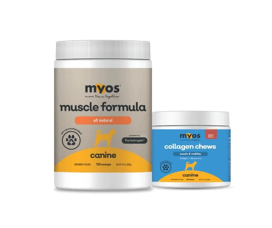 Untitled design (24).jpg