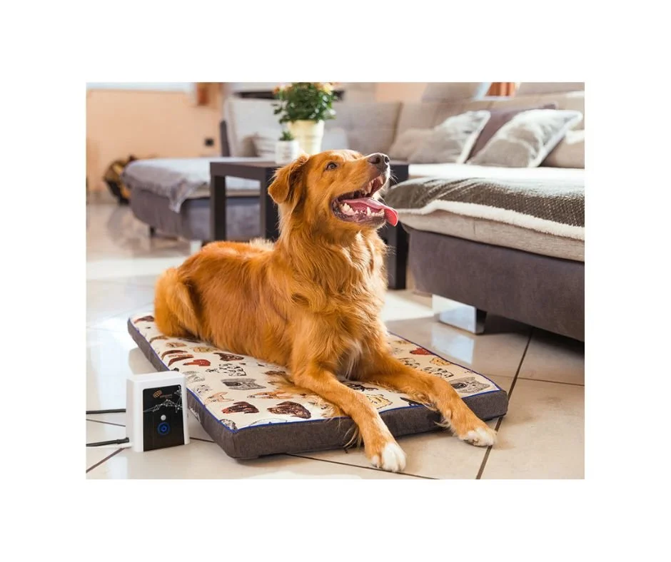 Untitled design (36).jpg