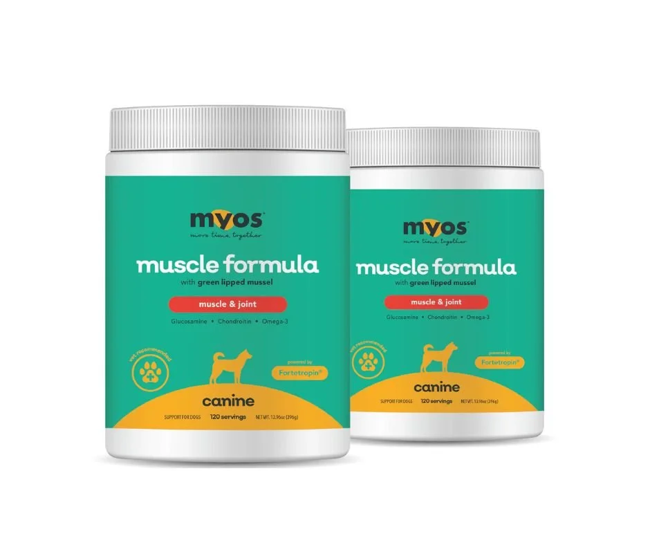 Untitled design (25).jpg