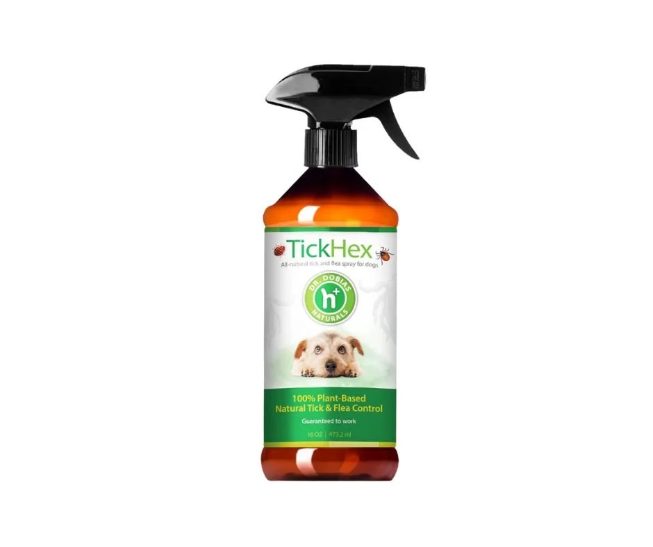 Untitled design (32).jpg