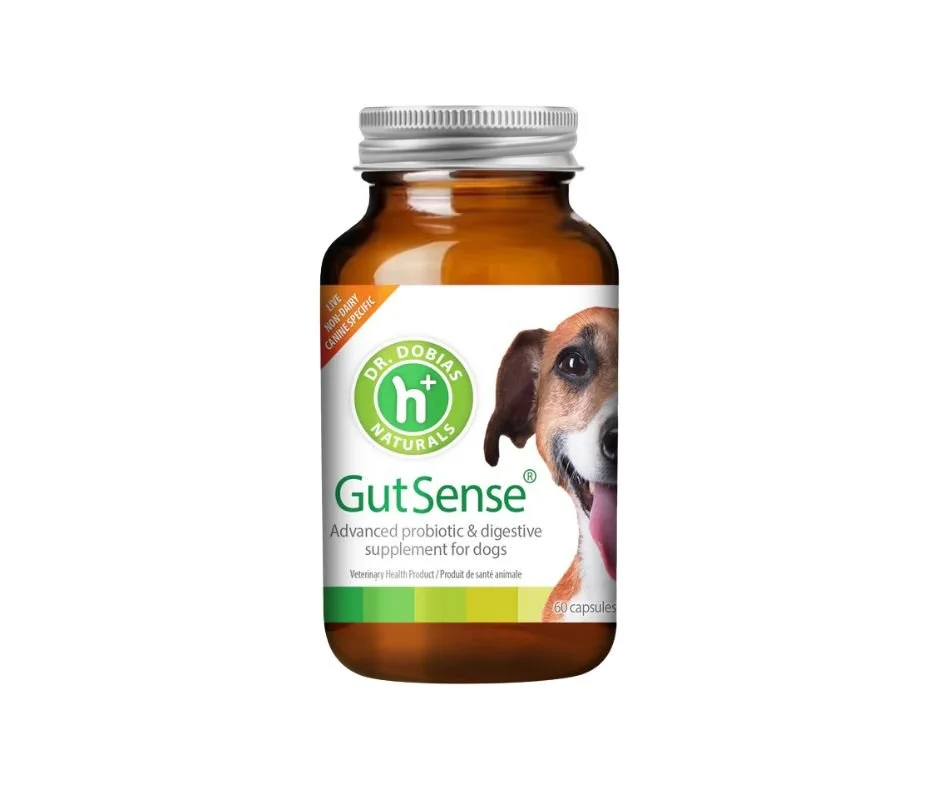 Untitled design (20).jpg