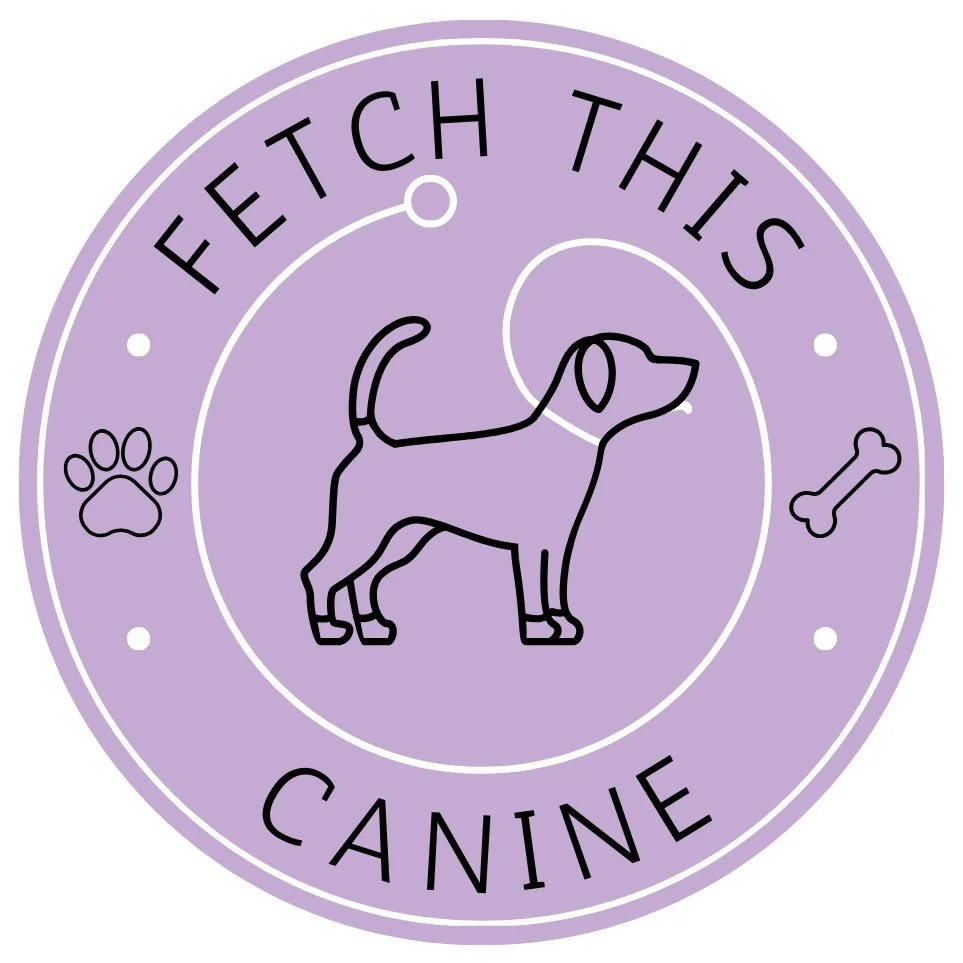 Copy of Fetch This Canine.jpg