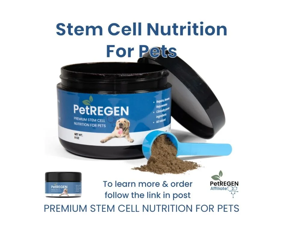 Untitled design (12).jpg