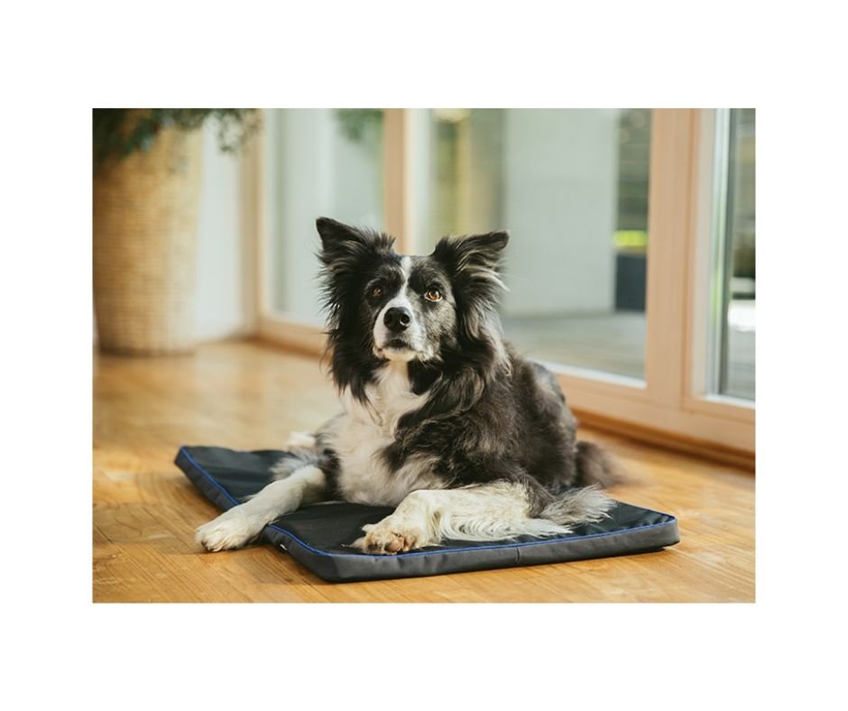 Untitled design (35).jpg