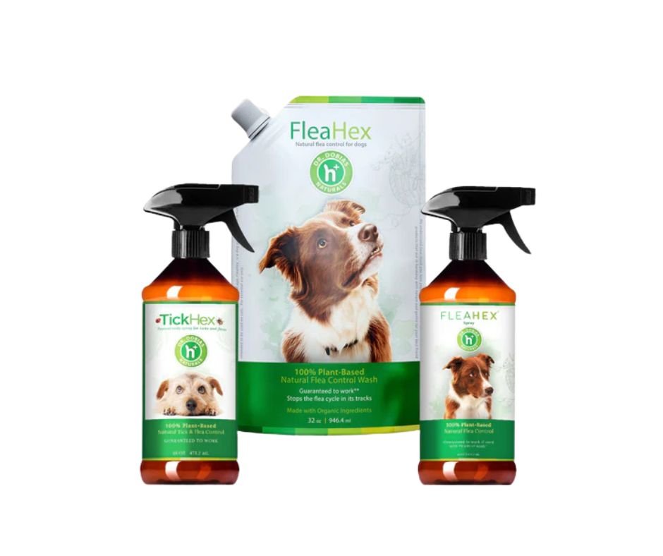 Untitled design (36).jpg