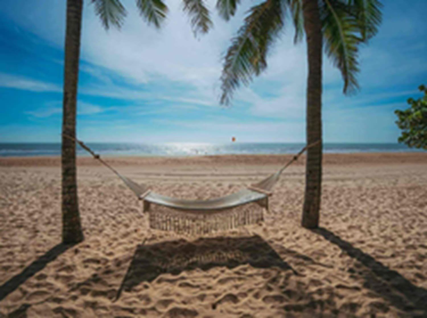 A hammock under palm trees by the ocean