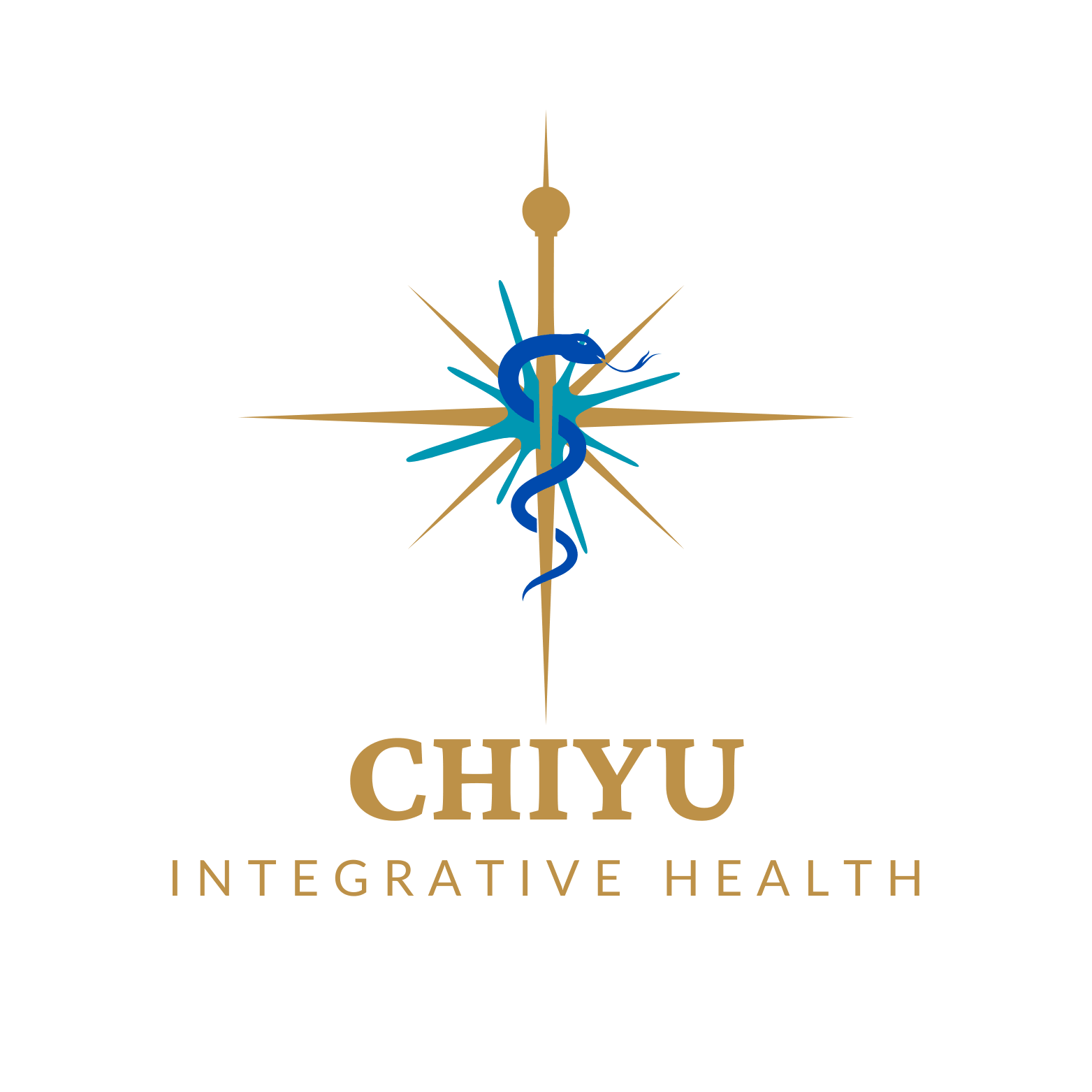Logo for Chiyu Integrative Health featuring a starburst design, a blue snake wrapped around a staff, and the words "Chiyu Integrative Health" beneath.