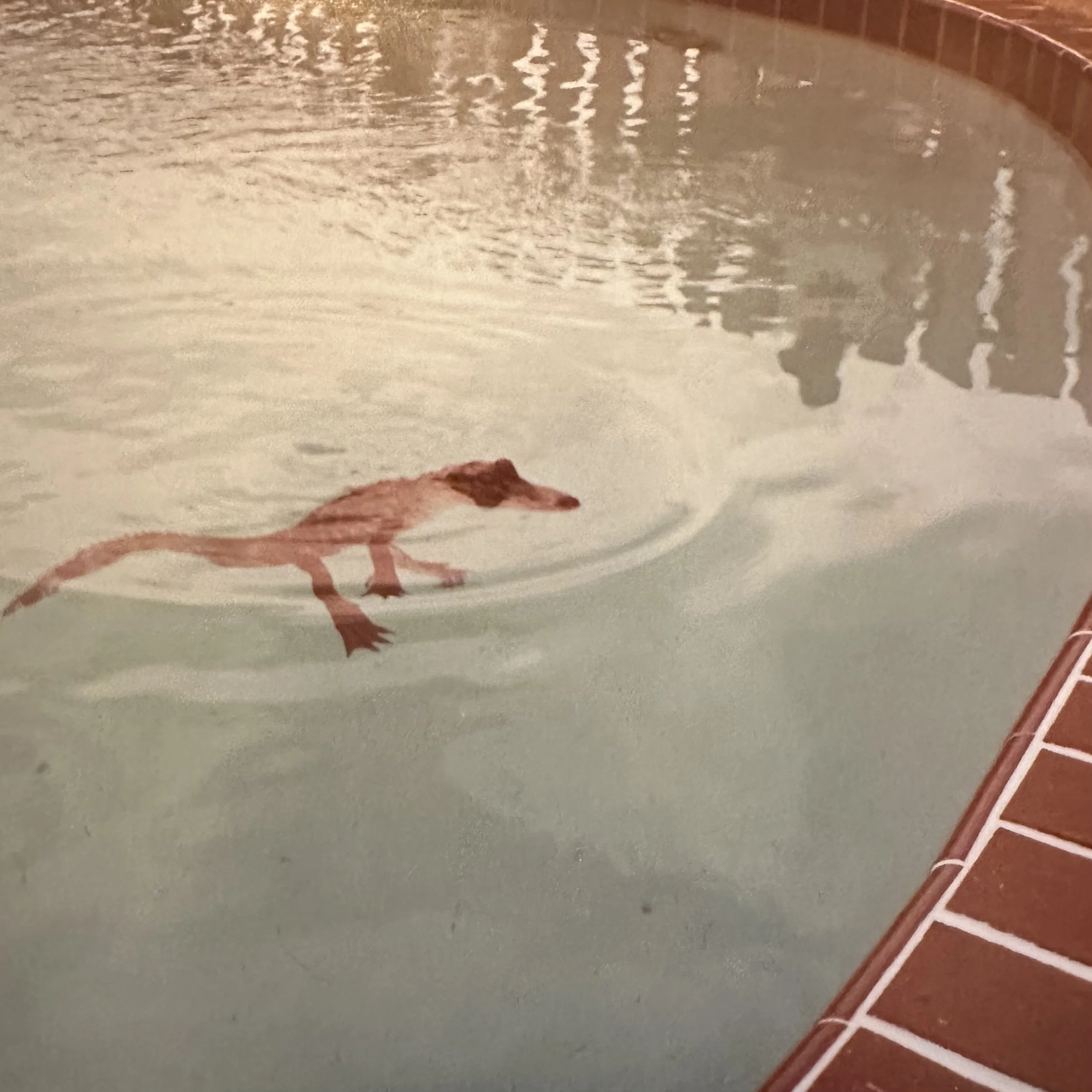 Deloyd Elze - Nellene cover artwork.jpg