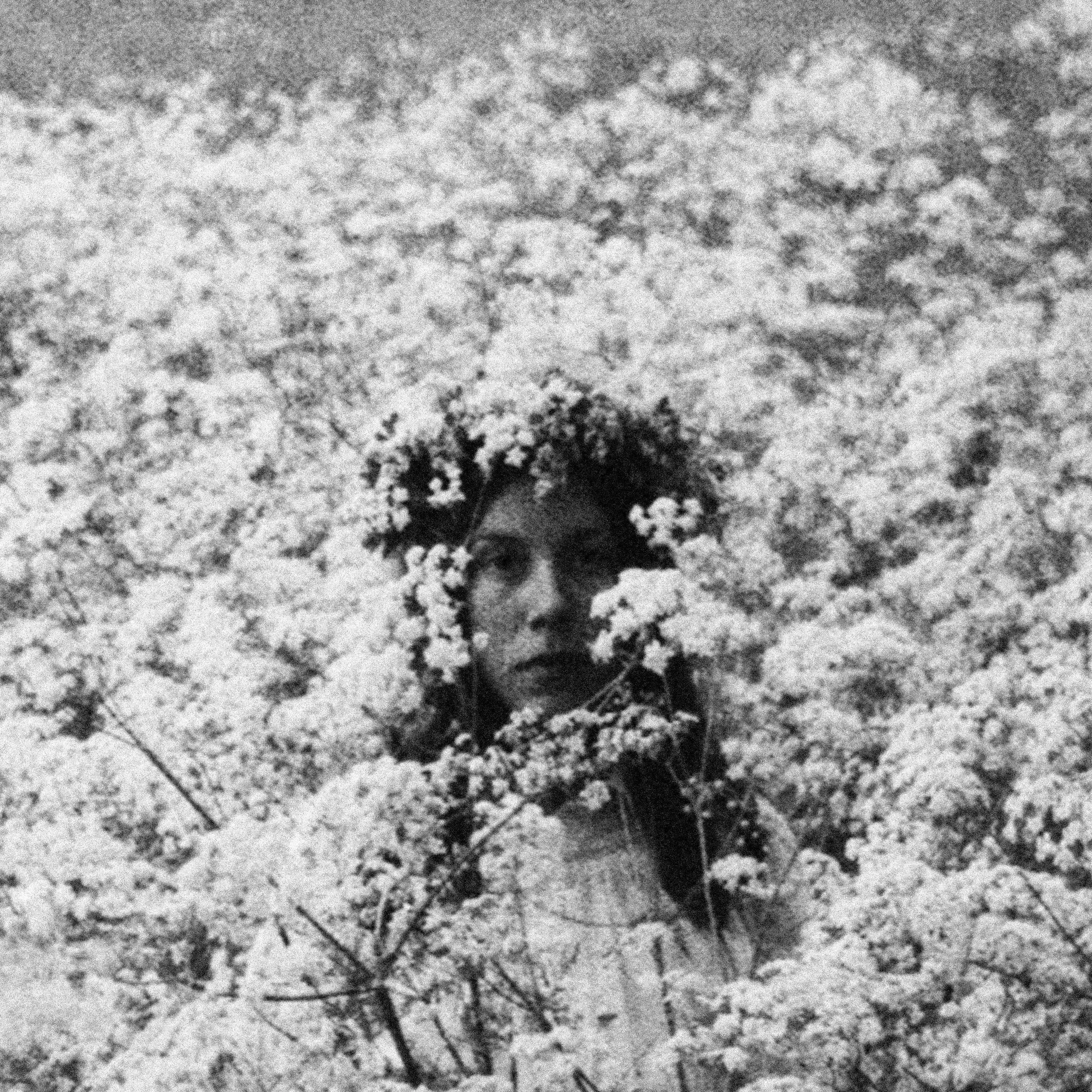 Nina Winder-Lind - This is Our Life artwork.jpg