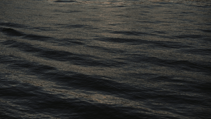 "MEMORY OF THE WIND" (live musical performance) - director/editor, 2025