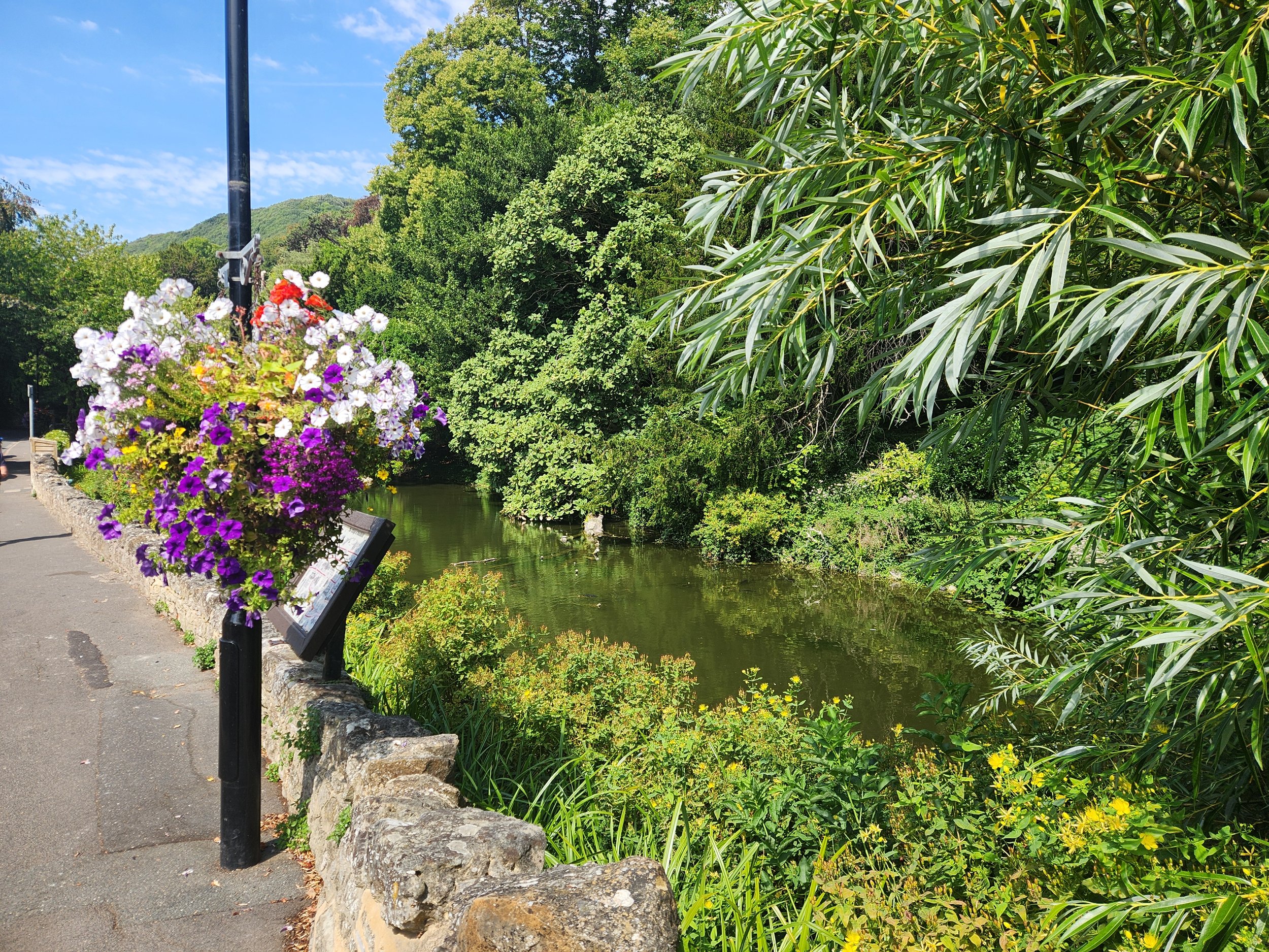 Walking in Bonchurch: A Guide to Safe, Open, and Historic Routes