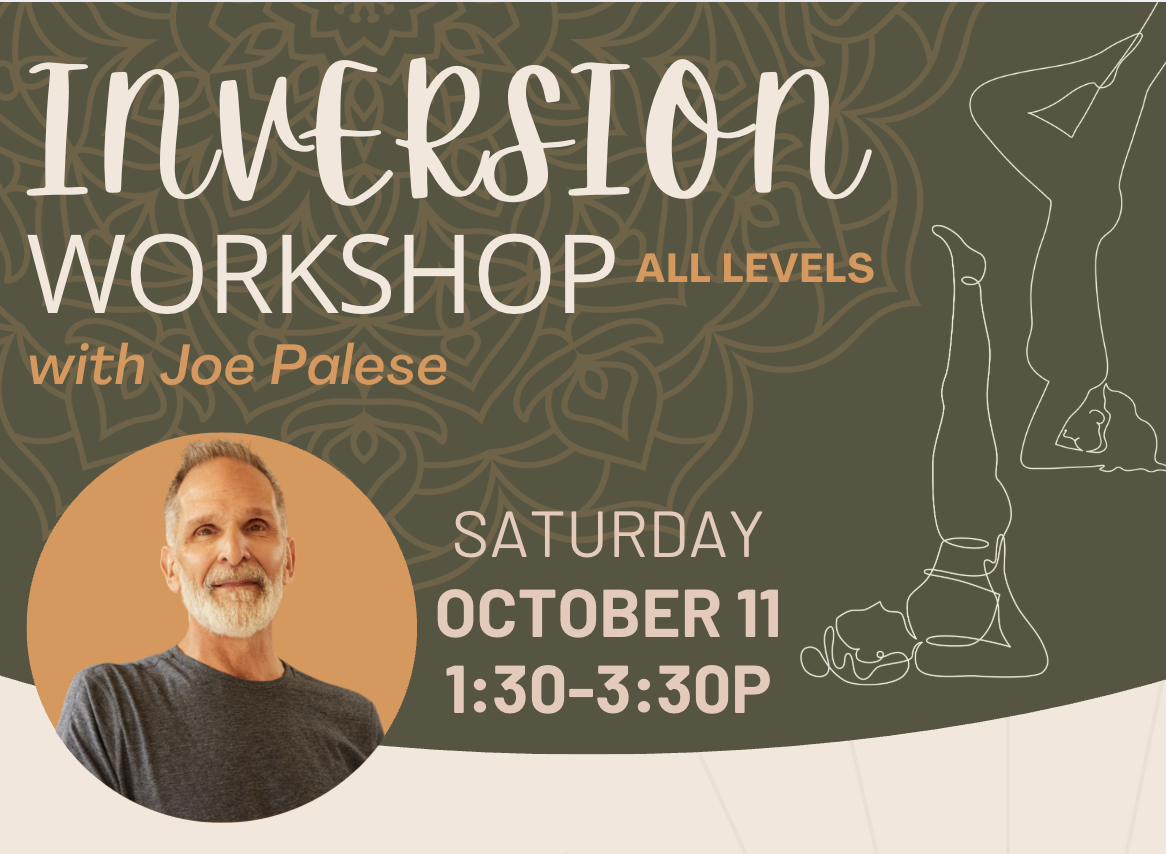 Inversion Workshop with Joe Palese