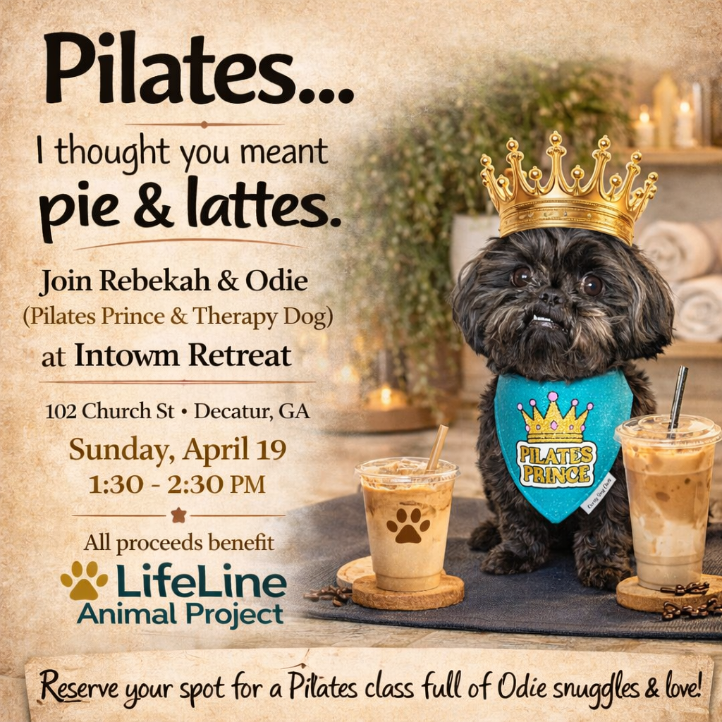 Puppy Pilates for Lifeline Animal Project