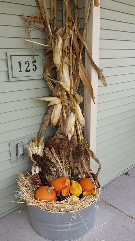Corn Stalk Bundle Add On