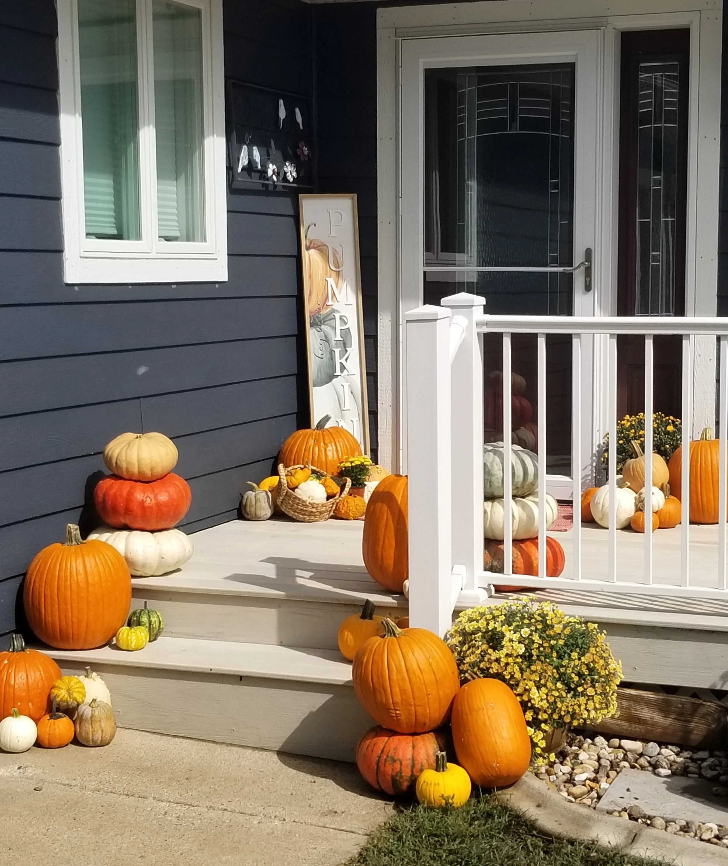 Pumpkin Delight