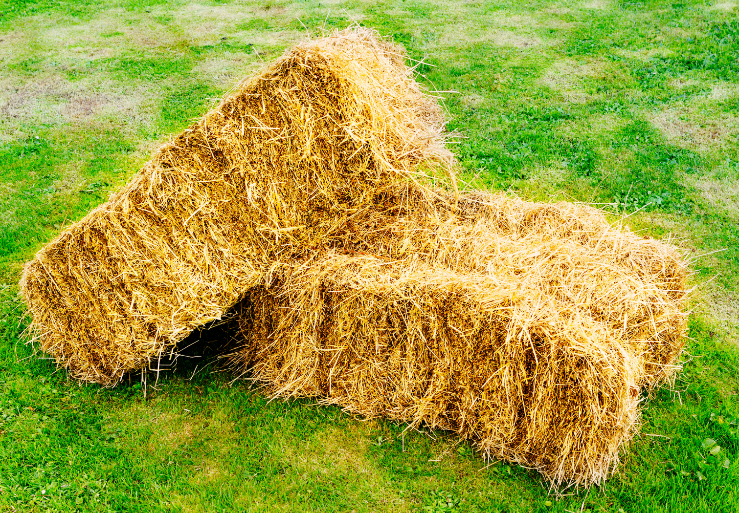 Straw Bale Add On