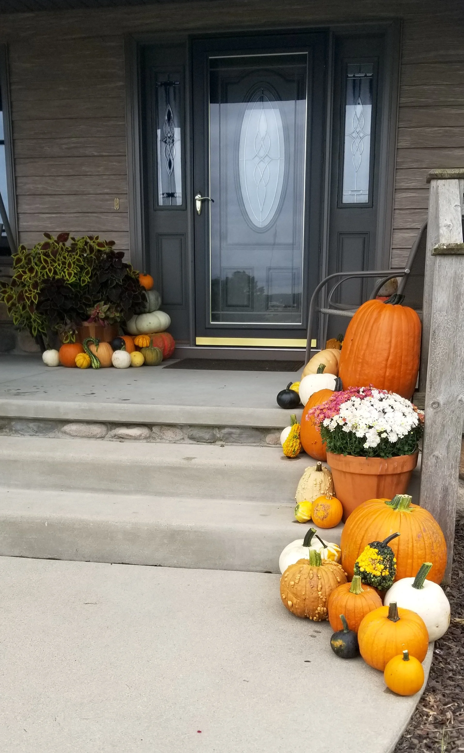 Pumpkin Delight