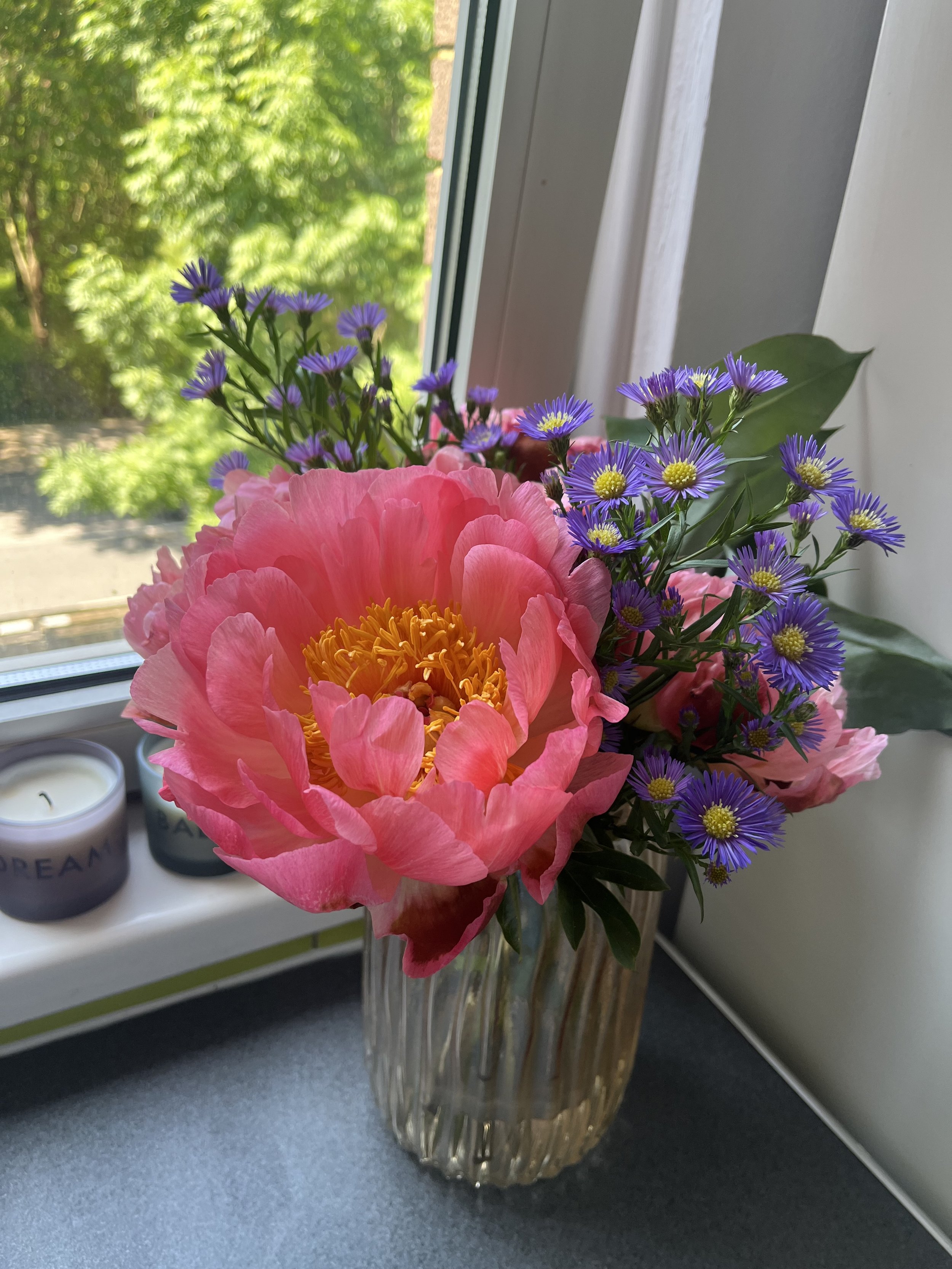 IMG_1974.jpeg