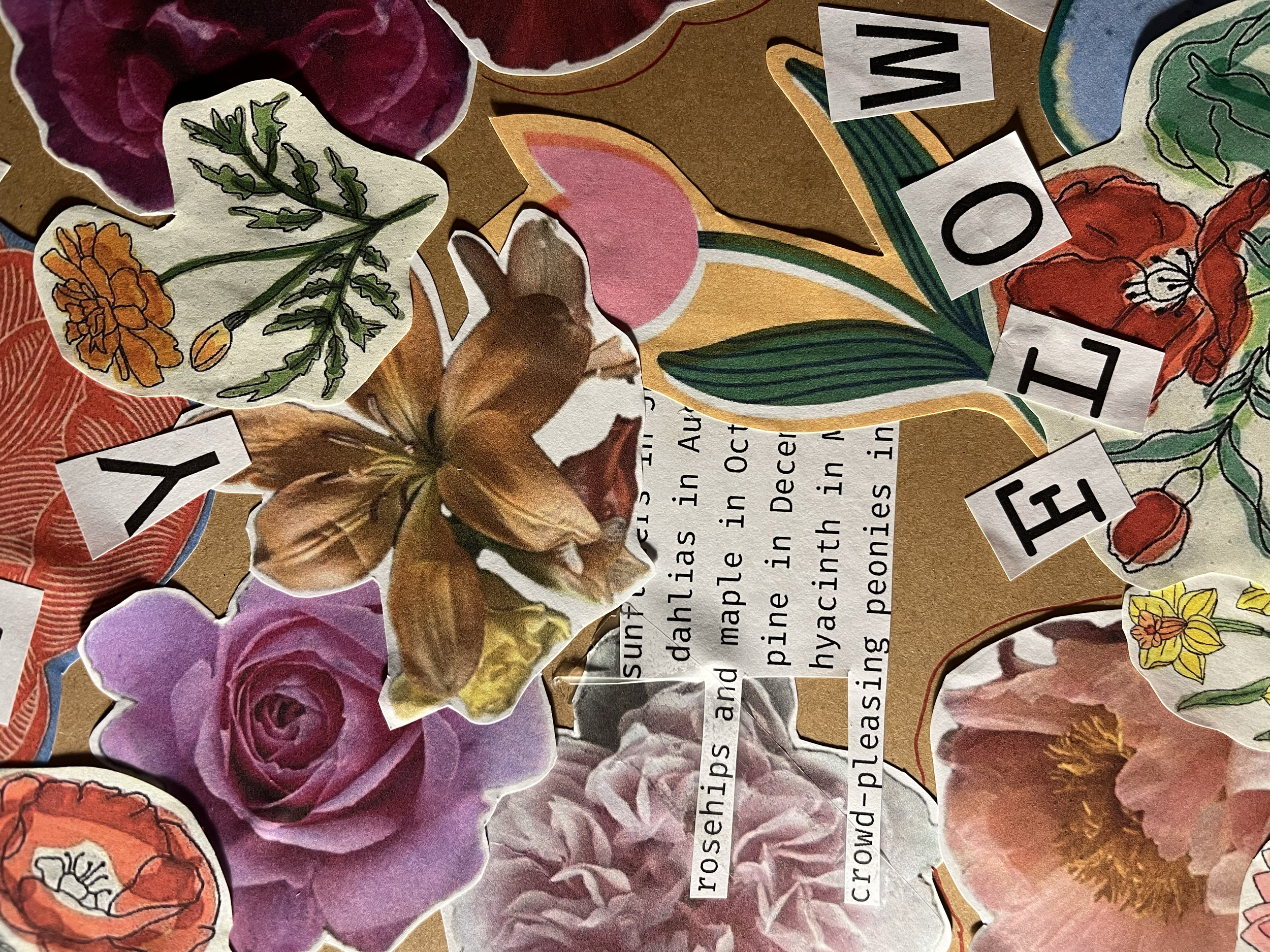 TIME MEASURED THROUGH FLOWERS /
HOW CAN LAYERS ADD VALUE?