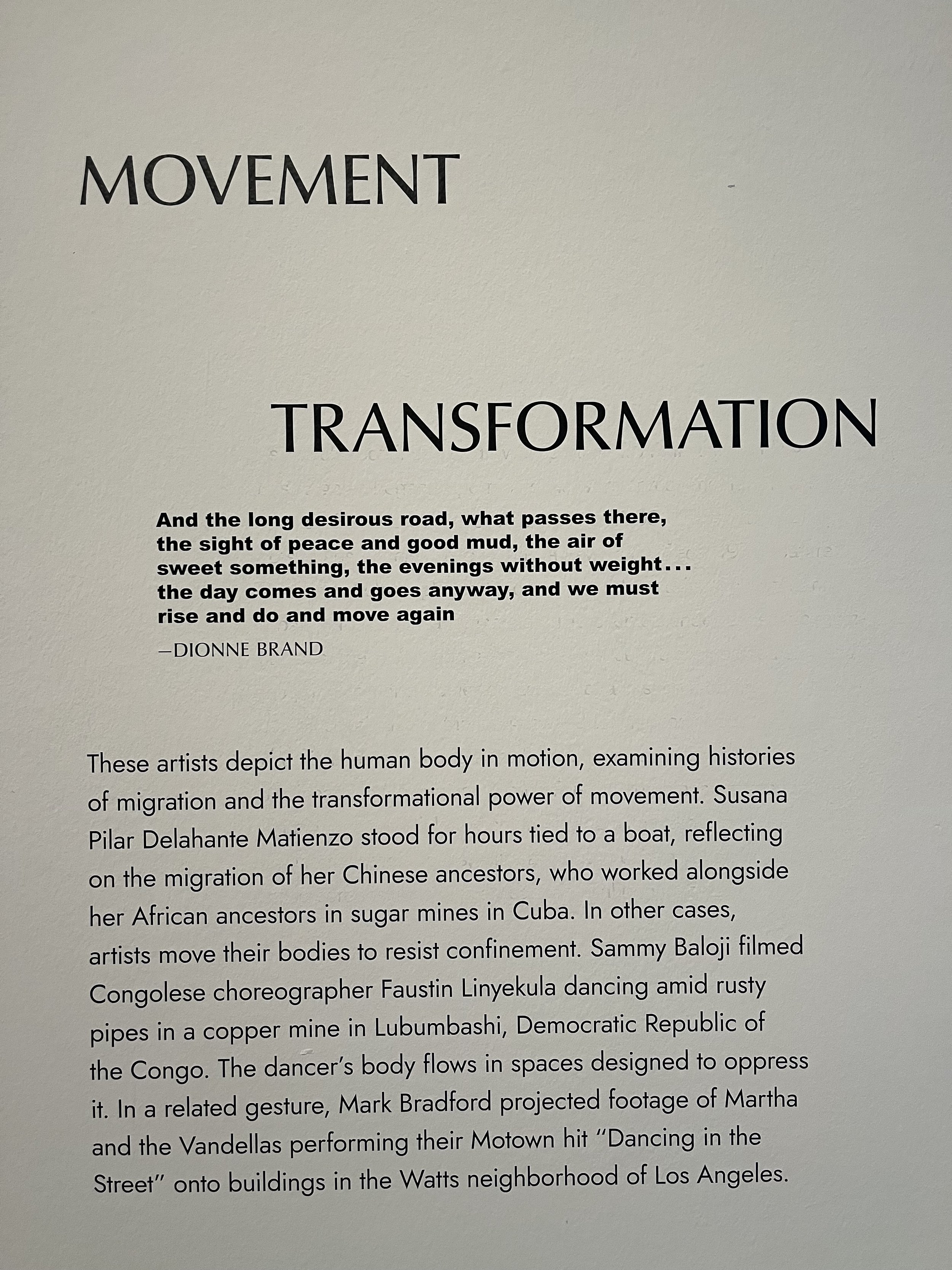 IN MOTION/TRANSITION