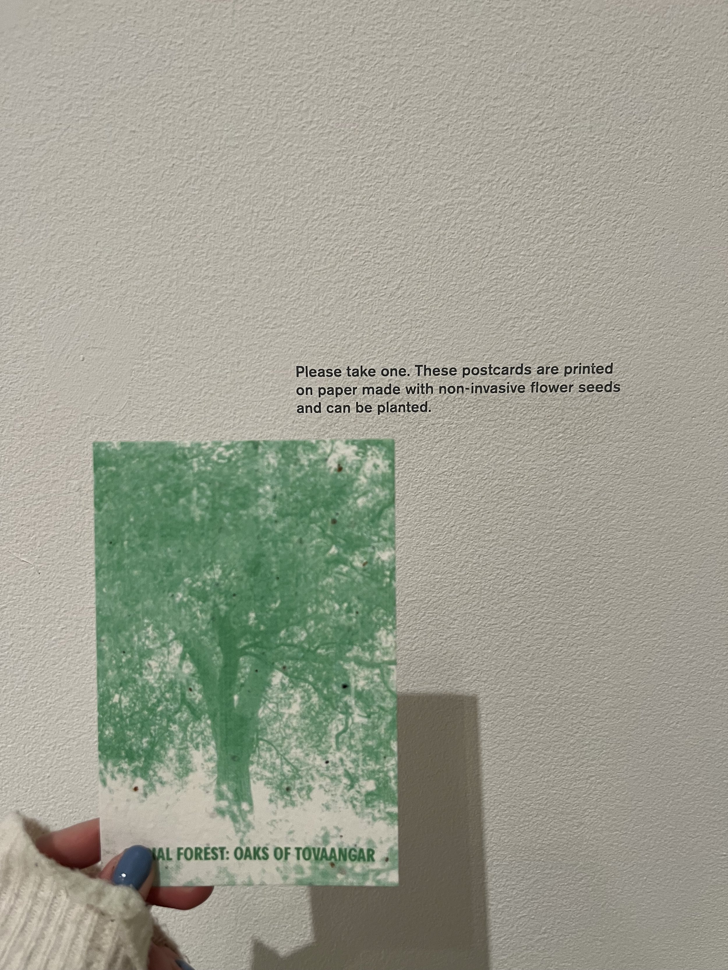 SEEDS IN THE POST