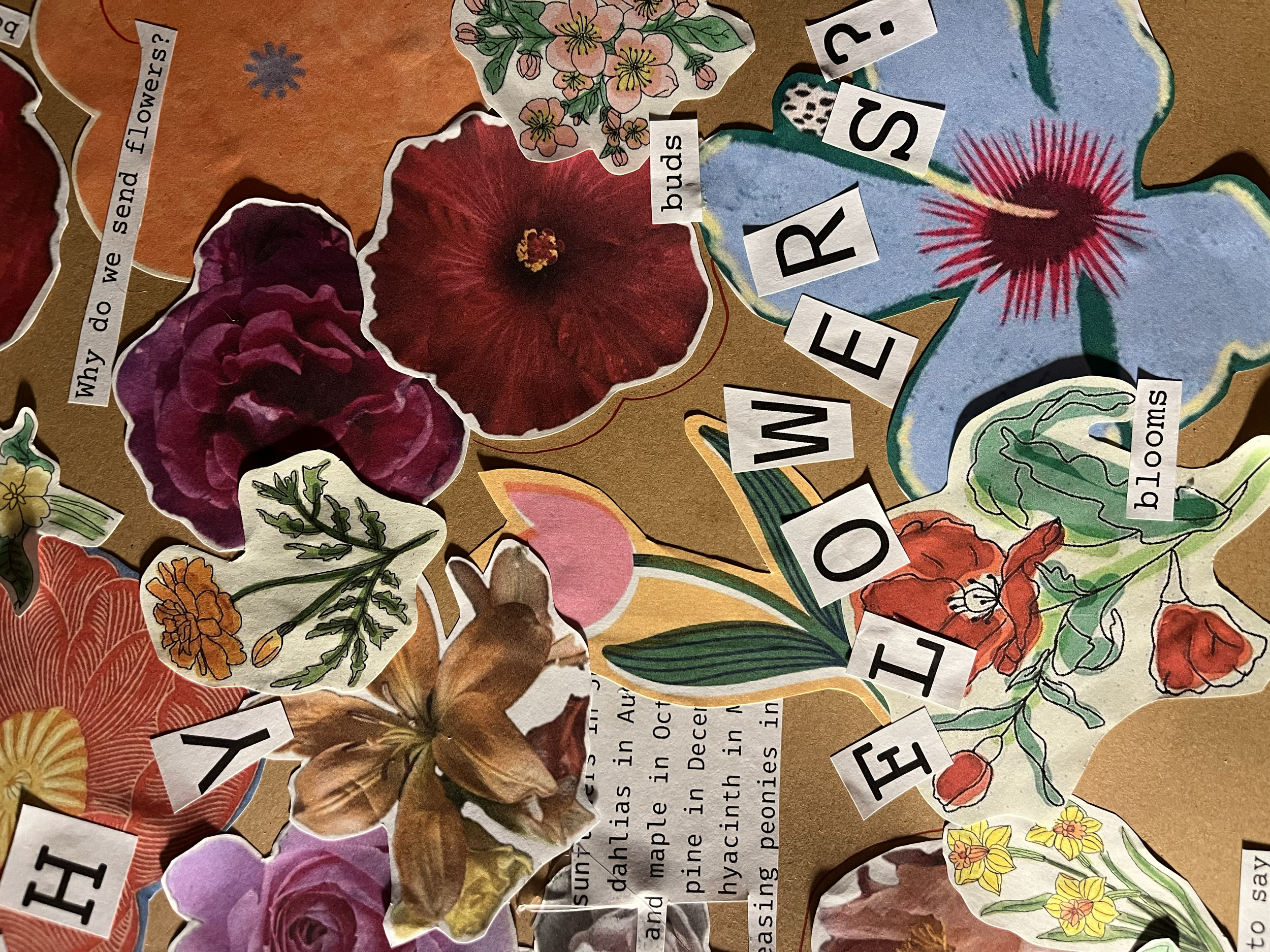 MERGING WORD + IMAGE /
WHAT WORDS STAND OUT TO ME?