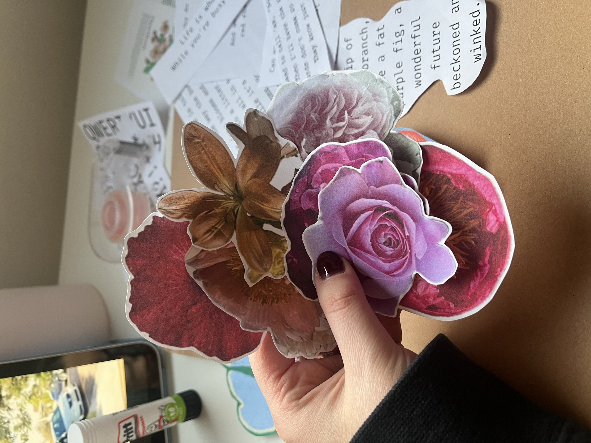 FLOWER PHOTOGRAPHS /
WHERE CAN REAL IMAGES BE SOURCED?