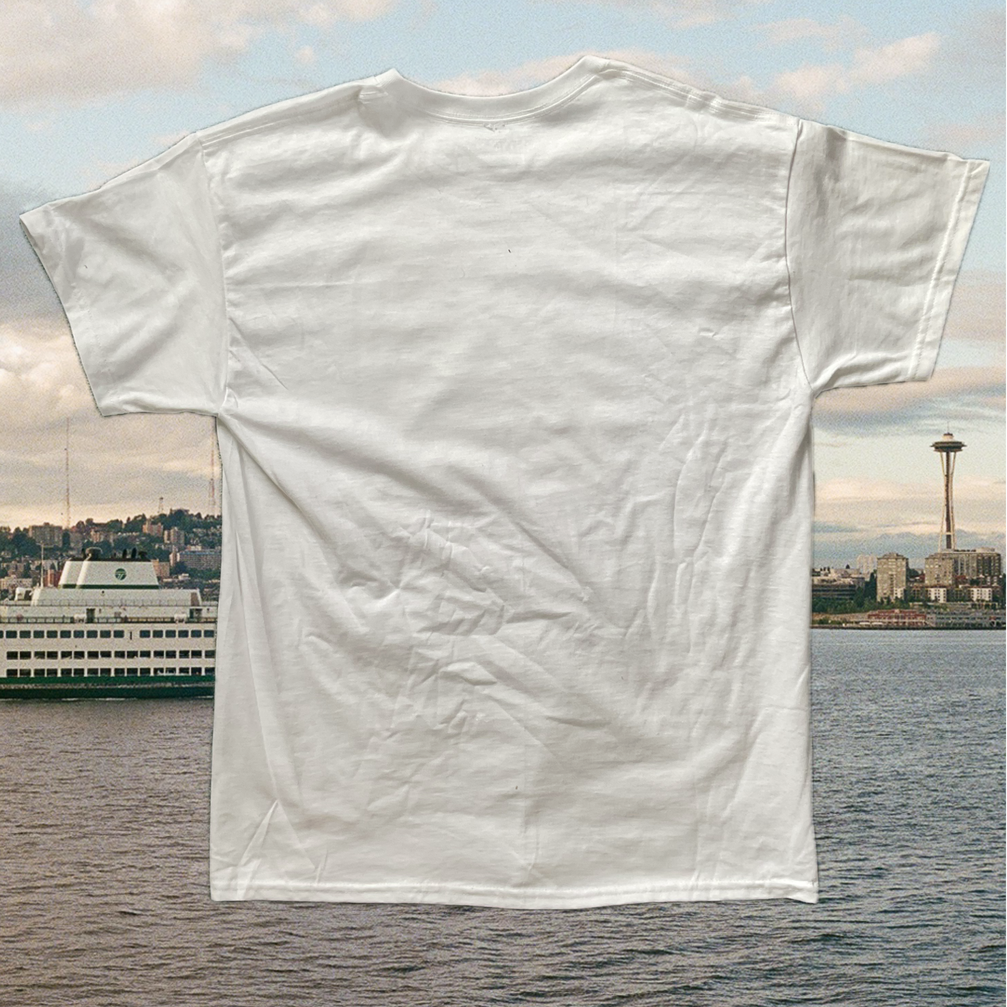 Watcher back - initial drop.png