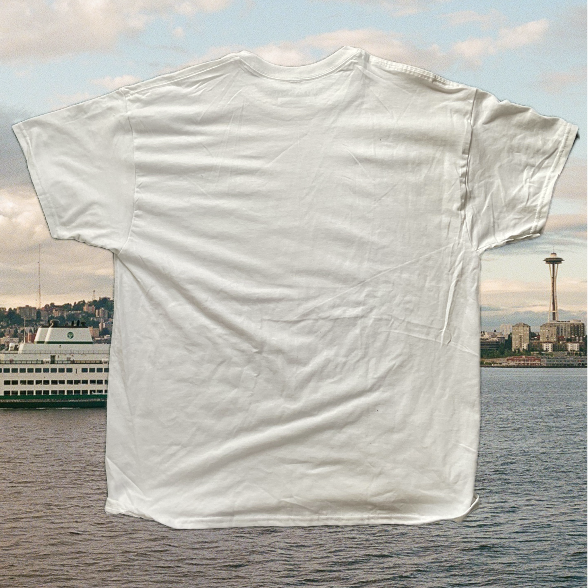 Orca back - initial drop.png