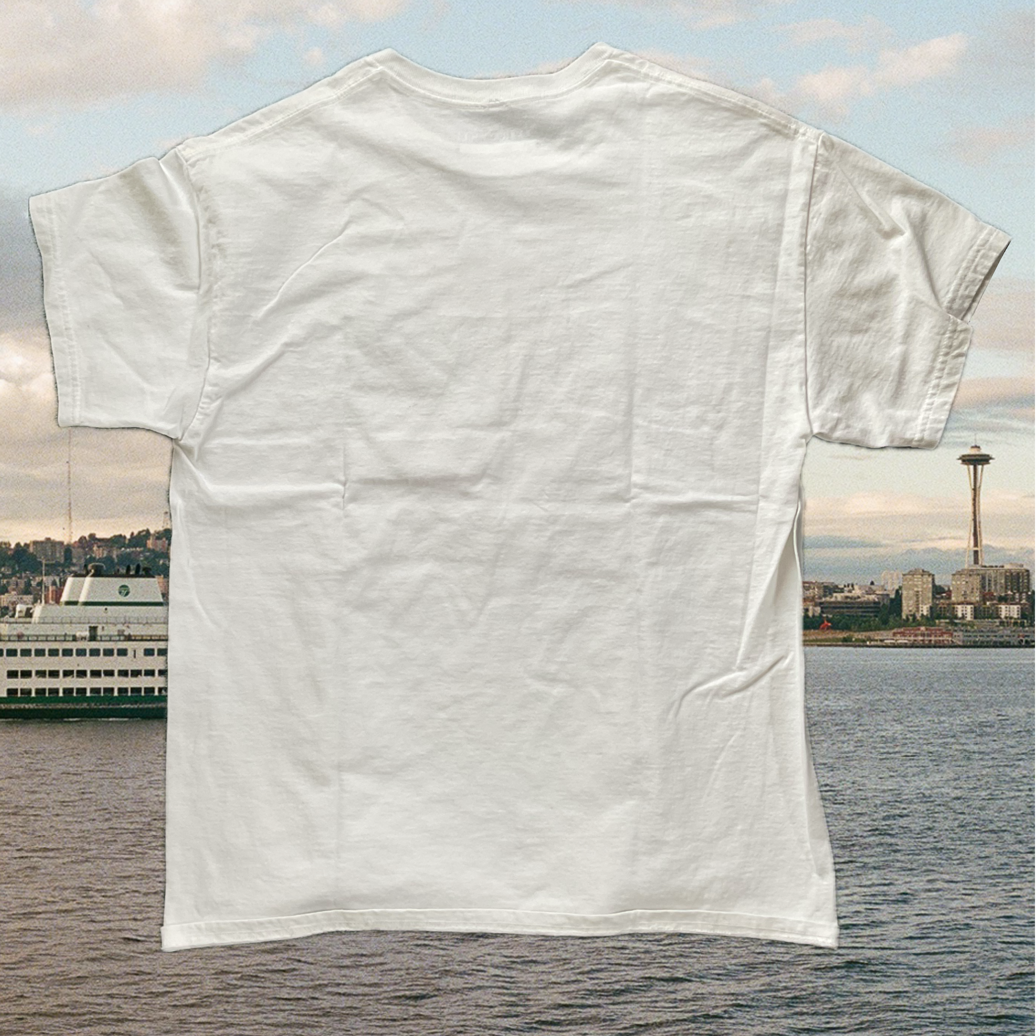 Tomatoes back - initial drop.png