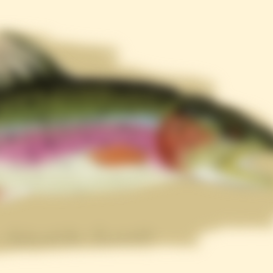 COMING SOON - Trout XTRA Heavy Tee